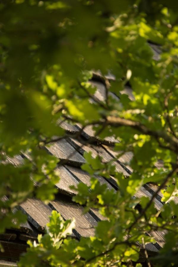 Le Bois De Faral Hotel Le Bastit Exterior photo