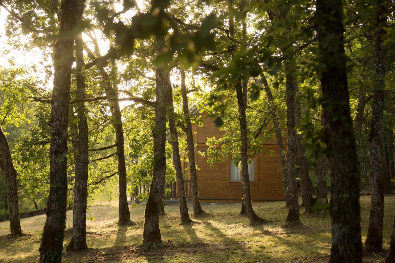 Le Bois De Faral Hotel Le Bastit Exterior photo